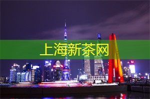 在上海的创意包子铺中畅快